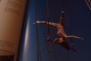 circus foto 20